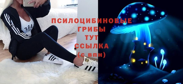 apvp Алзамай