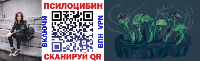 маркетплейс официальный сайт  Андреаполь  Галлюциногенные грибы Psilocybine cubensis 