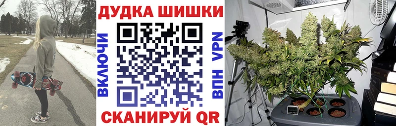 Конопля гибрид  хочу   Андреаполь 